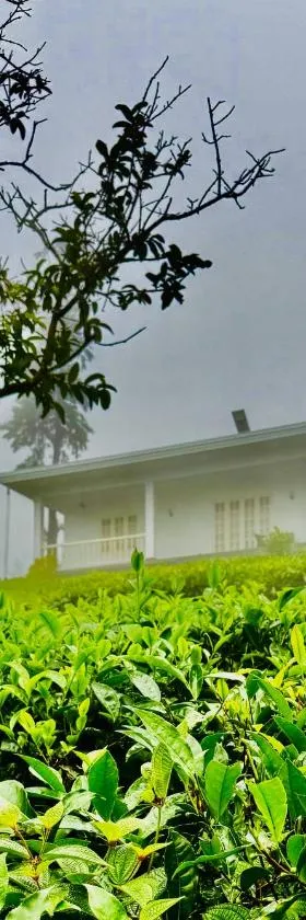 Four Winds Plantation Homestay Approved by Dept of Tourism Govt of Kerala，位于Vandiperiyār的酒店