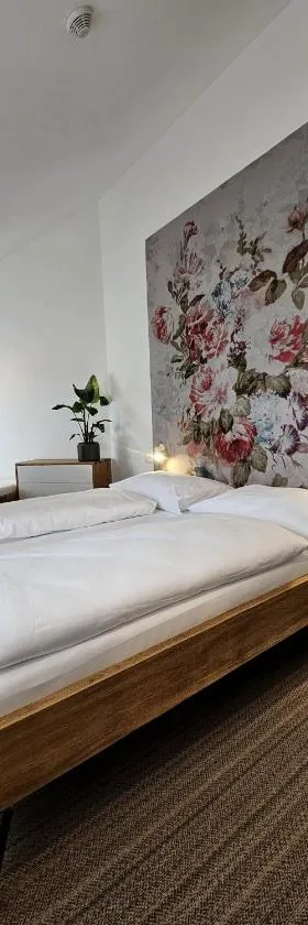 Hotel U Feldů，位于Klimkovice的酒店