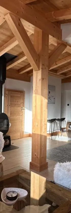 Portes du Soleil T3 "comme un chalet" direct access Morzine Avoriaz，位于蒙特里永的酒店