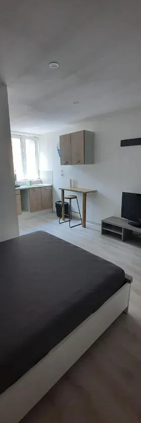 Appartement équipé，位于Saint-Julien-Molin-Molette的酒店