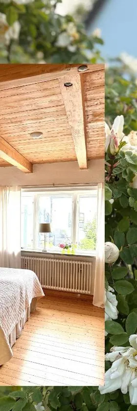 Rävåkra B&B Österlen，位于Hammenhög的酒店