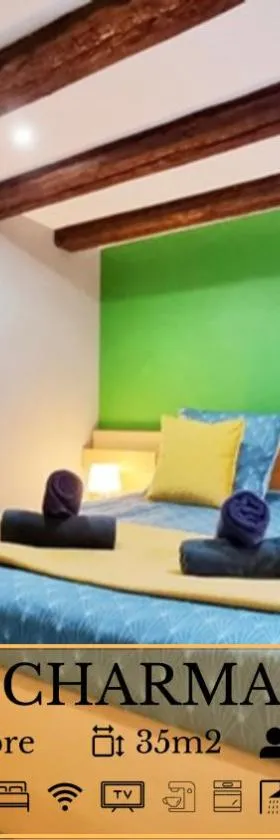 Splendide Appartement Barr - Route du Vins，位于巴尔的酒店