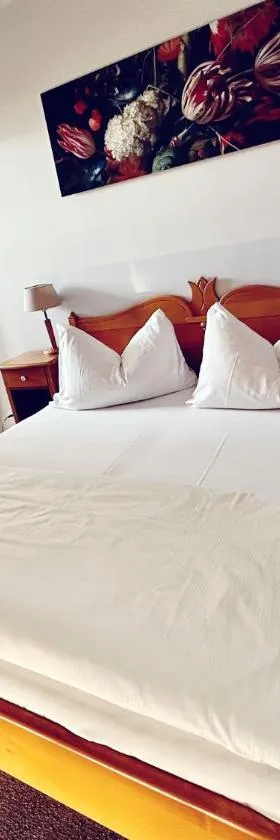 Hotel Rheinfall，位于诺伊豪森的酒店