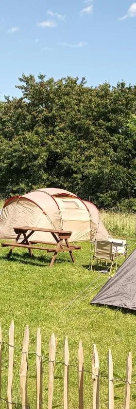 CAMPING, zabierz WŁASNY NAMIOT Kameralne pole namiotowe z basenem kinem plenerowym miejscem na ognisko i placem zabaw żywe zwierzęta agroturystyka，位于Giebułtów的酒店
