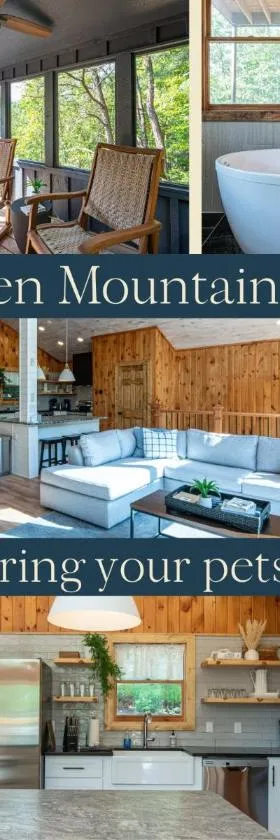 Hidden Mountain Gem，位于加特林堡的酒店