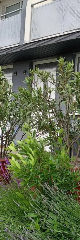 Apartmany Fantagiro，位于卡鲁扎的酒店