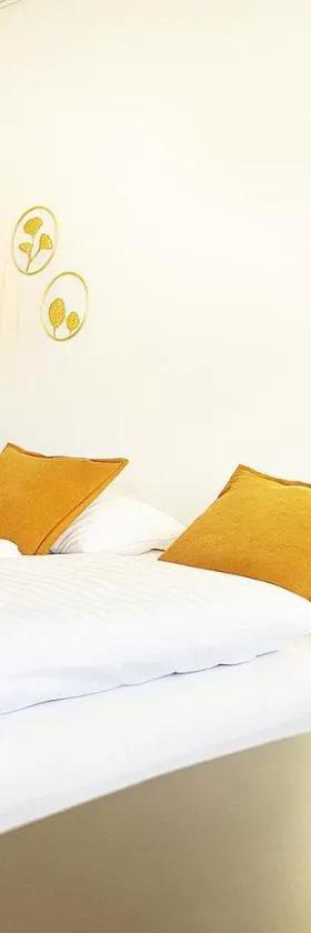 Hotel Svanegården，位于科瑟的酒店