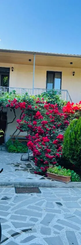 Guesthouse Mtkvari，位于Nak'alak'evi的酒店