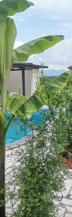Garden- pool apartman，位于Petrovice Donje的酒店