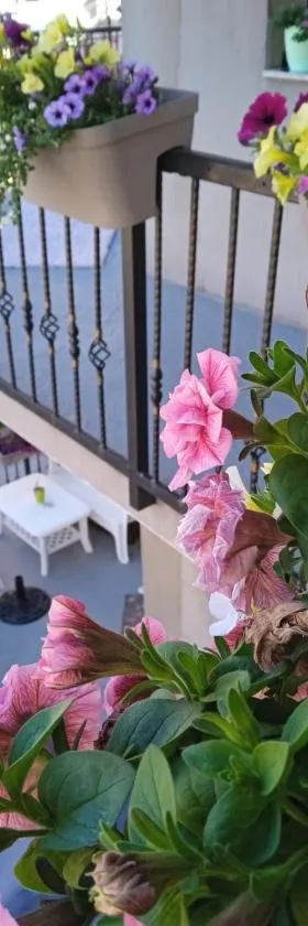 Apartmani Odmor Fojnica，位于福伊尼察的酒店