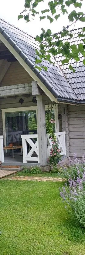 Namelis su pirtimi，位于考纳斯的酒店