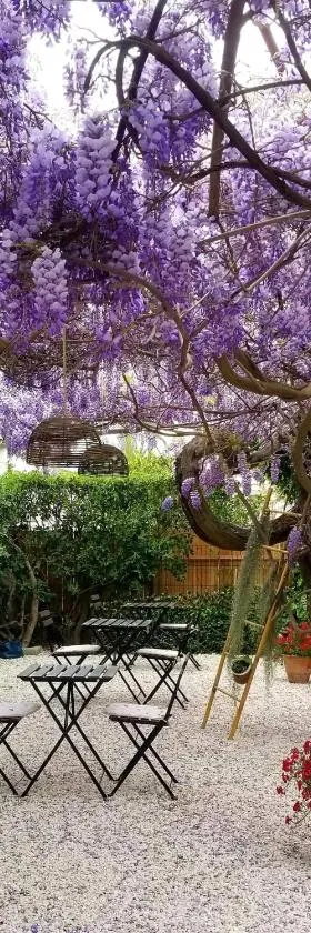 切斯路易斯住宿加早餐旅馆，位于雷以桑布尔的酒店