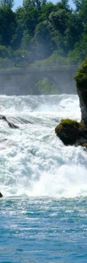 Wohlfühloase am Rheinfall，位于诺伊豪森的酒店