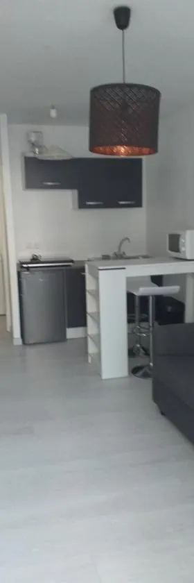 studio meublé wifi à proximité du tram，位于卡斯泰尔诺勒莱的酒店