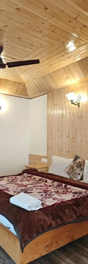 Manali luxury boutique Hotel with view，位于Bashist的酒店