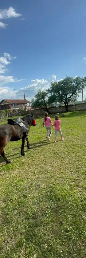 Ruralni kutak na padini Tumanskog Crnog vrha，位于Kučevo的酒店