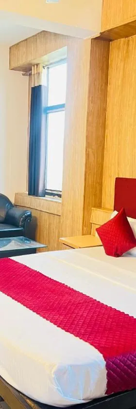 Hotel Black Stone Near Metro，位于加济阿巴德的酒店