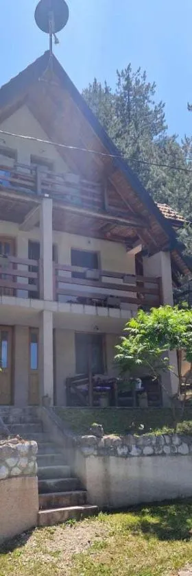 Vila Borovi，位于Zaovine的酒店