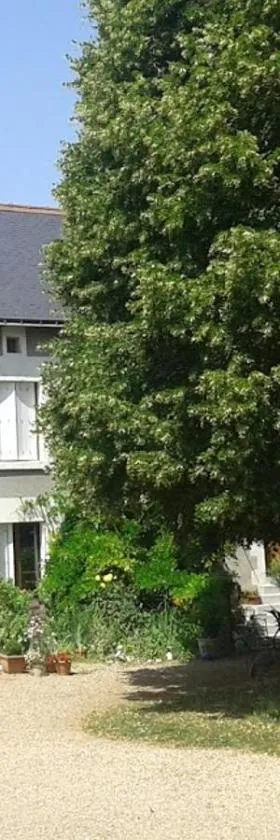 La clé des jardins，位于Nouâtre的酒店