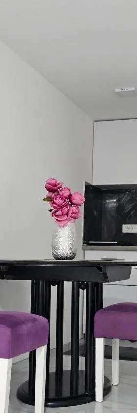 Studio Dana，位于阿然德洛维克的酒店