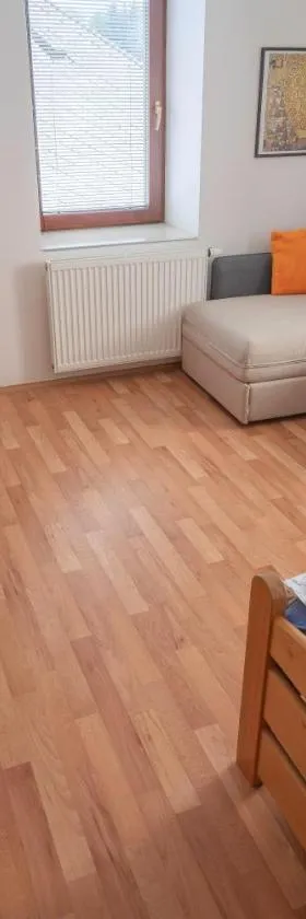 Apartmán Hotel Vomočil Bystré，位于Bystré的酒店
