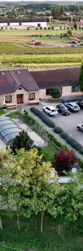 Resort Kovács，位于Novosedly的酒店