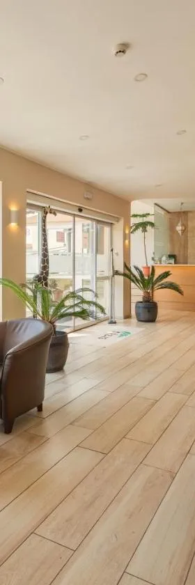 OÁZIS Hotel***，位于瑙吉考尼饶的酒店