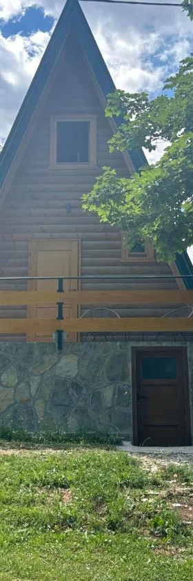 House Durmitorski konak，位于Virak的酒店