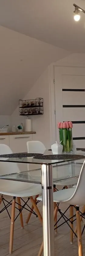 Apartment/mieszkanie u Janusza，位于Grybów的酒店