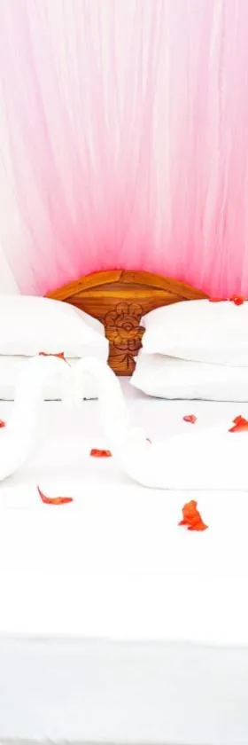 Cozy Secrets Hotel & Hostel，位于丹不拉的酒店