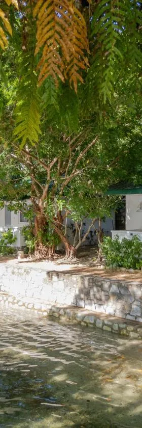The Three P Beach Resort & Dive Center，位于Romblon的酒店