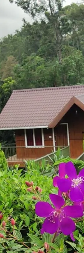 Don's River Valley Jungle Resort，位于玛莱尤尔的酒店