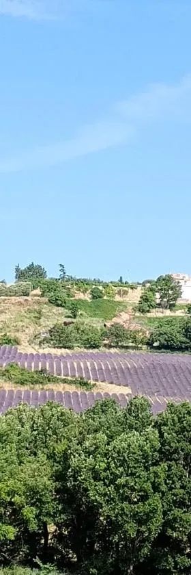 La Bergerie en Provence，位于Puimichel的酒店