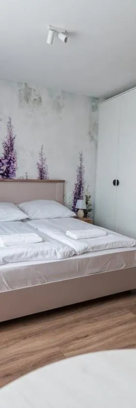 Apartamenty Wilkasy Jezioro Niegocin，位于维尔卡瑟的酒店
