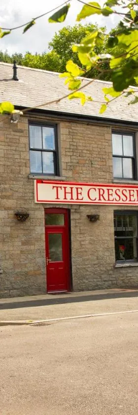 The Cresselly Inn，位于Mountain Ash的酒店