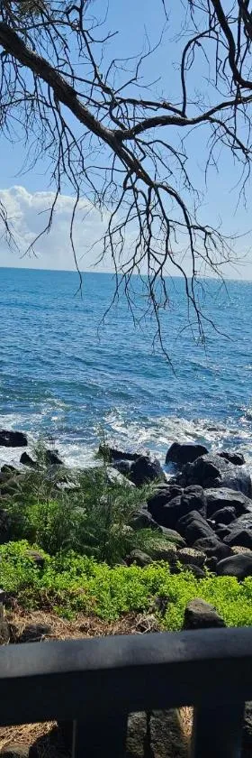 Absolute Oceanfront Tourist Park，位于巴加拉的酒店