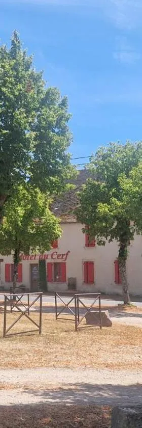 Hôtel du Cerf，位于La Guerche-sur-lʼAubois的酒店