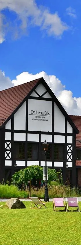 迪卢斯奇山伊莲娜·厄里斯博士SPA酒店，位于维索卡维斯的酒店