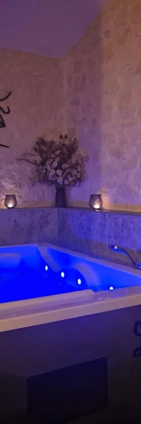 Le Lovy , Studio indépendant avec Jacuzzi，位于Cubnezais的酒店