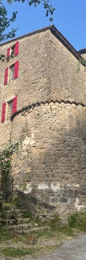 Le Château de Sorgues，位于Cornus的酒店
