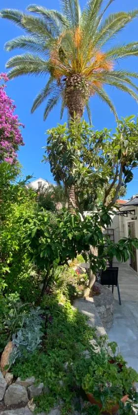 Apartments Veli Lošinj，位于大洛希尼的酒店