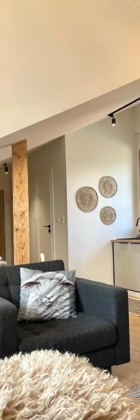 AP Apartamenty Polański - 20 procent zniżki na Gorący Potok，位于斯扎法拉瑞的酒店