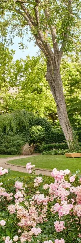 Hotel & Spa A la cour d'Alsace by HappyCulture，位于奥贝奈的酒店