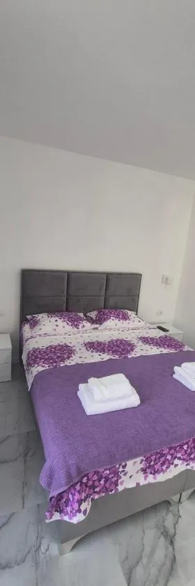 Airport Apartmani Nevena，位于Mitrovići的酒店
