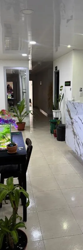 Hotel PalmaLinda，位于帕尔米拉的酒店