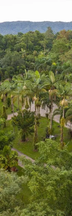Daintree Siesta，位于Diwan的酒店