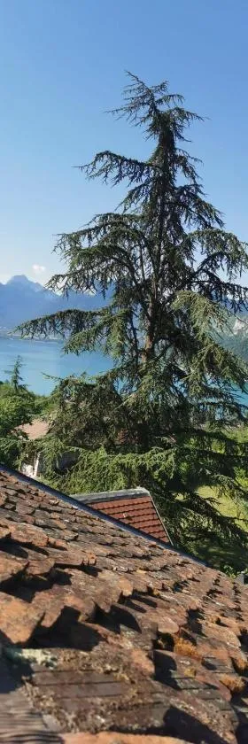 Vue lac magique cocon atypique et cosy，位于塔卢瓦尔的酒店