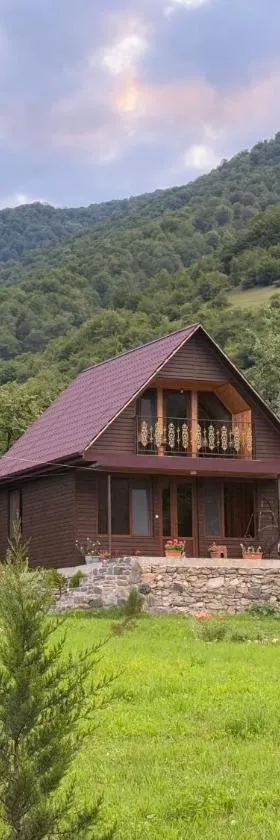 Pankisi Wooden Cottage，位于Akhmeta的酒店