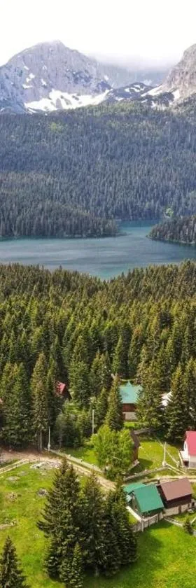 Apartment Durmitor，位于扎布利亚克的酒店
