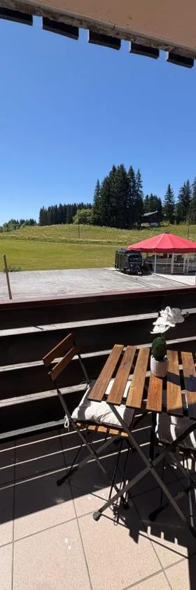 Appartement cosy à la montagne aux pieds des pistes pour 4 personnes et 1 bébé，位于塔南日的酒店
